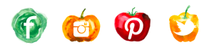 Healthy Stacey social media icons