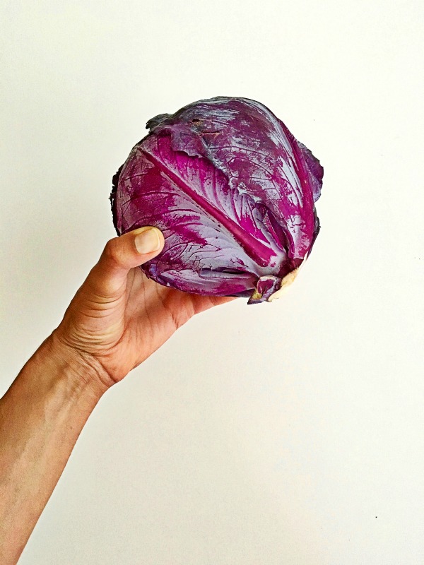 Red Cabbage Head